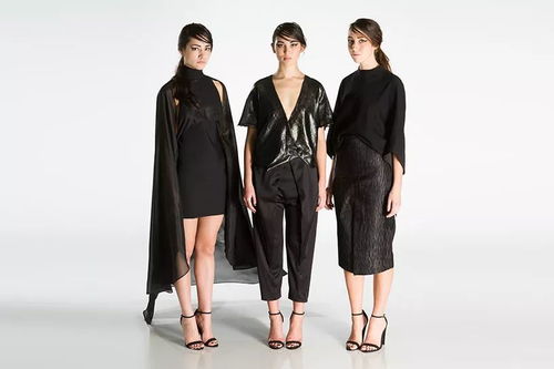 羅德島設(shè)計學(xué)院 服裝設(shè)計 申請解析 如何拿下 善變 的獨立命題項目